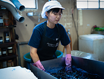 ���F�@���{�m������